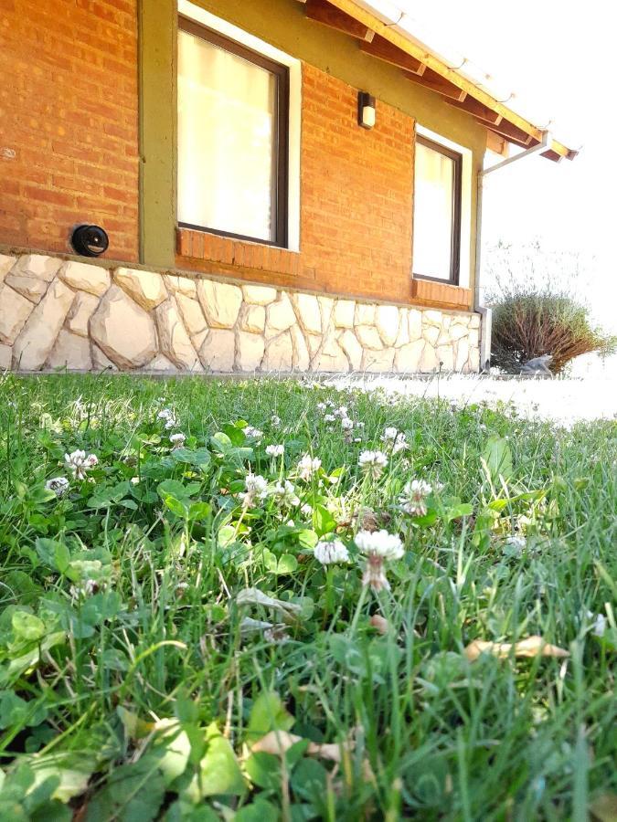 Escallonia House Holiday home
